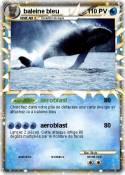 baleine bleu