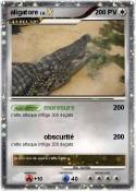 aligatore