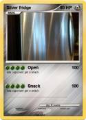 Silver fridge