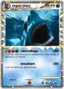 requin blanc