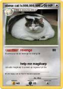obese cat lv.99