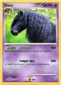 frison