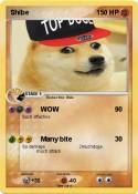Shibe