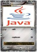 javaTM