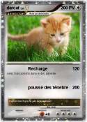 darcat