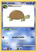 turtle