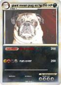 giant mean pug