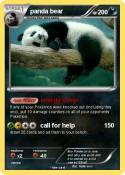 panda bear