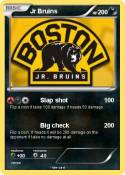 Jr Bruins