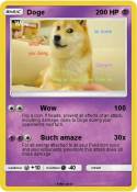 Doge