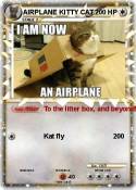 AIRPLANE KITTY