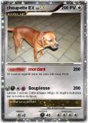 choupette EX