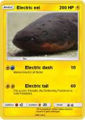Electric eel