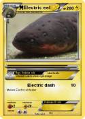 Electric eel