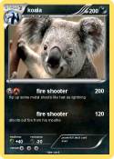 koala