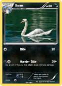 Swan