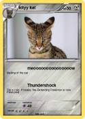 kityy kat