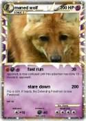 maned wolf