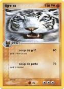 tigre xx