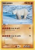 ours polaire