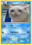 Sad Cat