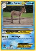 Taj Donkey