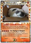 Kitteh-in-a-Box