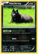 Pilou the dog