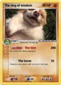 The dog of wisd
