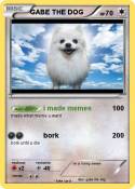 GABE THE DOG