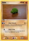 Turtle