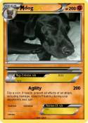 dog