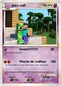 amis craft