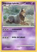 loup-dogo hybri