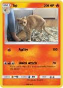 Taji