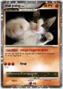 chat poing