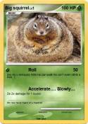 Big squirrel