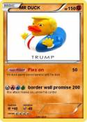 MR DUCK