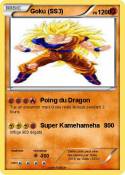 Goku (SS3)