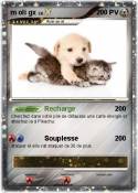 m oli gx