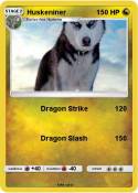 Huskeniner
