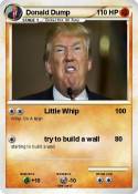Donald Dump