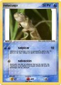 renacuajo