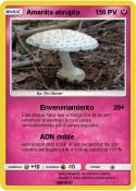 Amanita abrupta