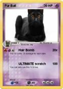 Fur Ball