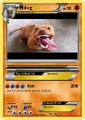 dog