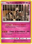 Tag Team Kitty