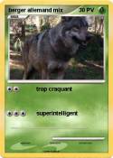 berger allemand