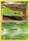 Lizard
