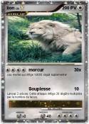 lion